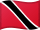 ttflag