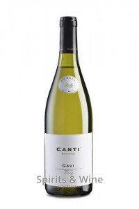 Canti Estate Gavi DOCG