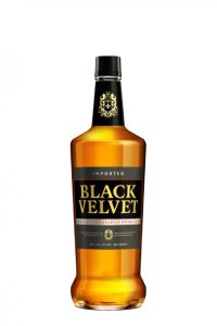 Black Velvet Canadian 3YO