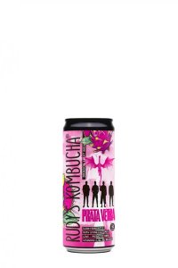 Rudy's Kombucha Dragon Fruit Mojito