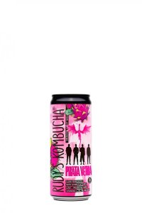 Rudys Kombucha Dragon Fruit Mojito