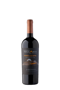 Bodega Volcanes Parinacota Limited Edition