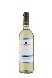 Villa Degli Sauvignon Blanc