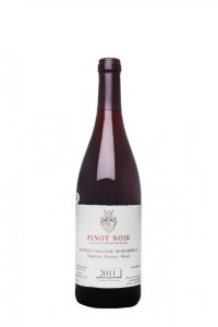 Pinot Noir Molitor Rotwein Trocken im Barrique